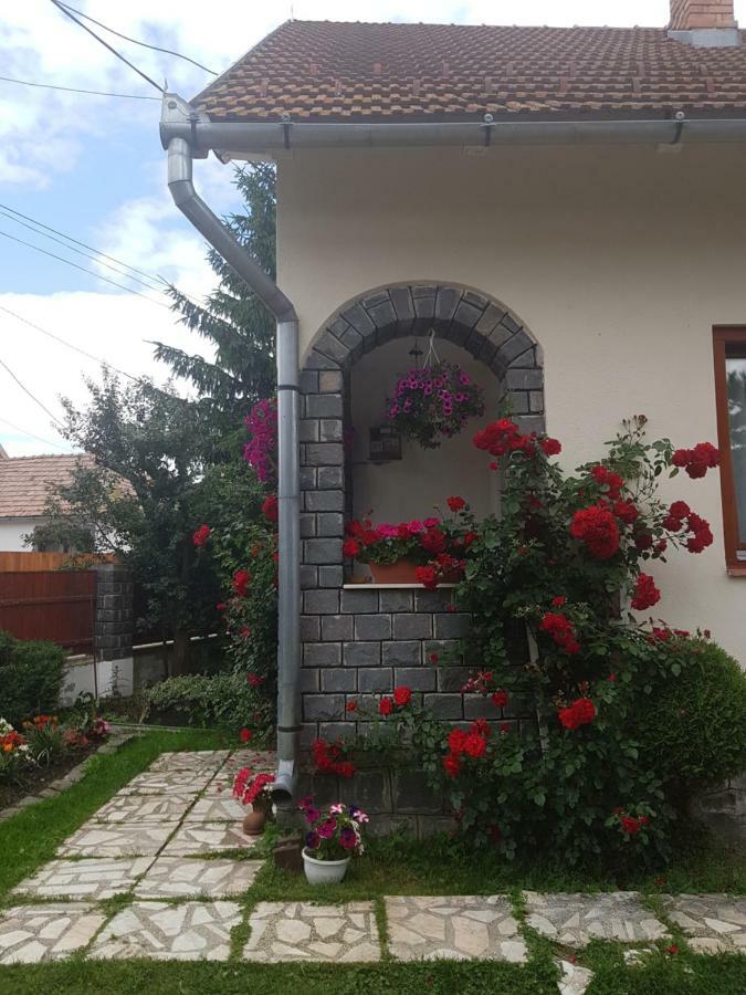 Rita Vendeghaz Apartment Ciumani Екстериор снимка
